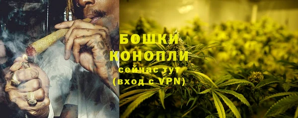 сатива Орехово-Зуево