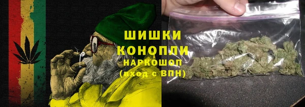 гашик Медногорск